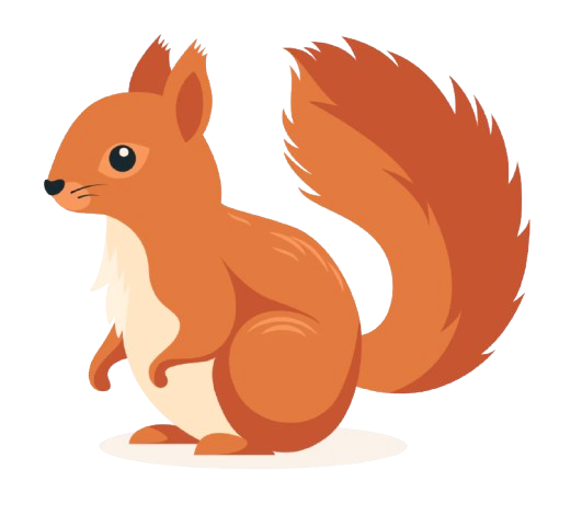 Squirrel illustration
